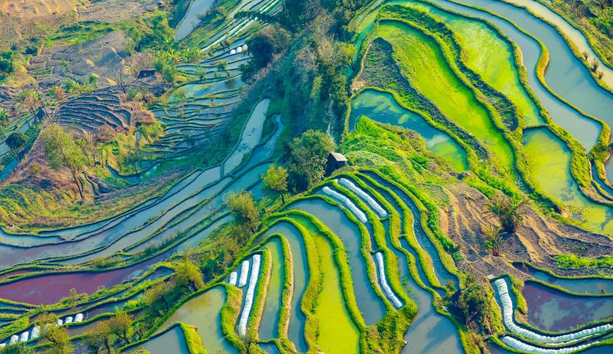 宝妈必备神器：利辛县产品视频拍摄轻松育儿好帮手