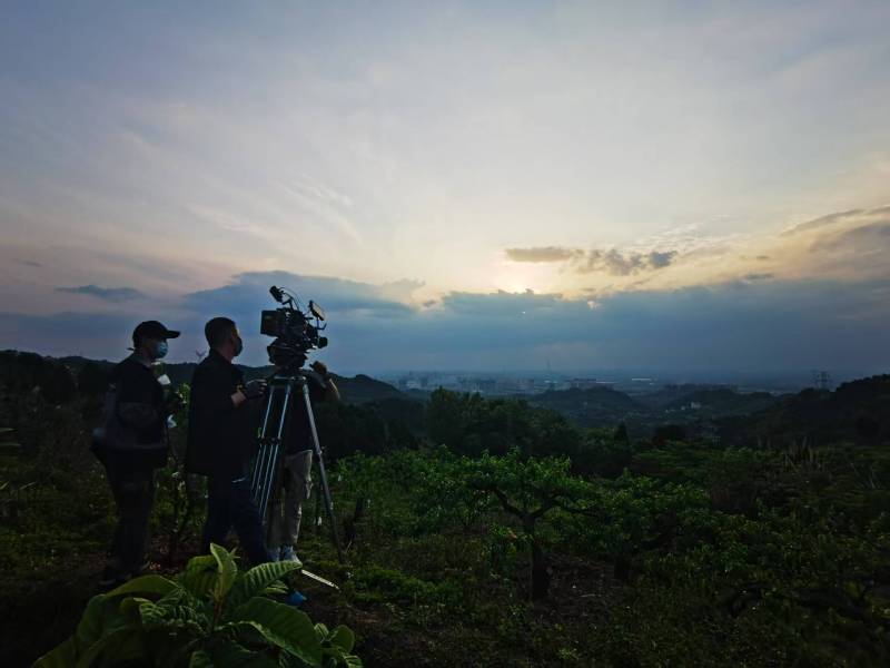 聚焦利辛县产品宣传视频拍摄公司，用专业实力铸就品牌传播传奇